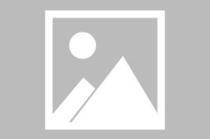 开云app-梅西连场爆发、浙江外线反扑、火箭连胜：激情与变局交织的夜晚